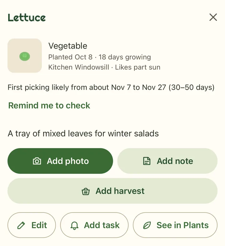 A young lettuce's page: planted Oct 8 on the kitchen windowsill, 18 days growing; first picking likely from about Nov 7 to Nov 27 (30 to 50 days), with Remind me to check, and buttons to add a photo, a note or a harvest