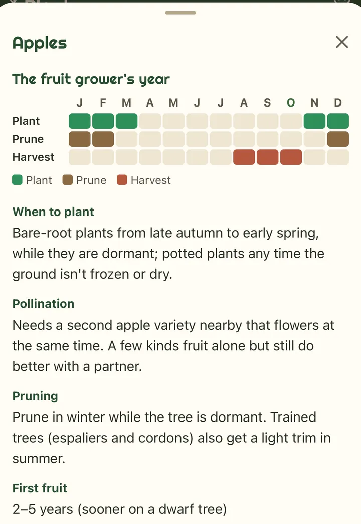 Apples in the Plants tab: the fruit grower's year, a calendar of the months to plant, prune and harvest; when to plant (bare-root plants from late autumn to early spring); pollination (needs a second apple variety nearby); pruning in winter; first fruit in 2 to 5 years