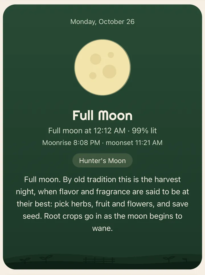 The moon panel on the Moon tab: a full moon, 99% lit, moonrise 8:08 PM and moonset 11:21 AM, called the Hunter's Moon, with its reading: by old tradition this is the harvest night, when flavor and fragrance are said to be at their best; pick herbs, fruit and flowers, and save seed