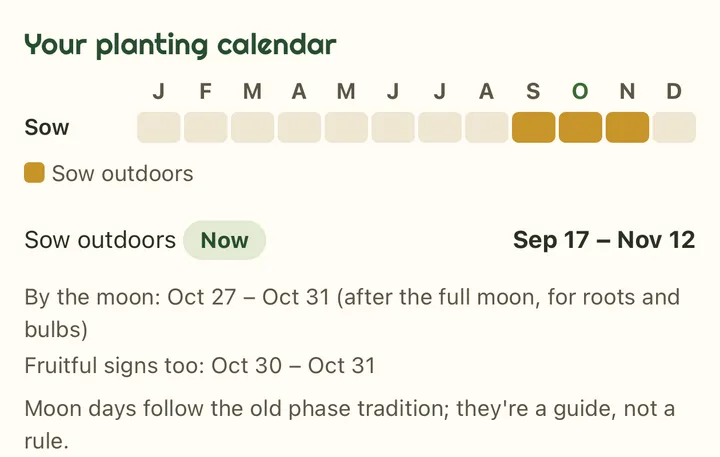 Daffodil's planting calendar in the Plants tab: sow outdoors from Sep 17 to Nov 12, now; by the moon, Oct 27 to Oct 31, after the full moon, for roots and bulbs; fruitful signs too, Oct 30 to Oct 31; and a note that moon days follow the old phase tradition and are a guide, not a rule