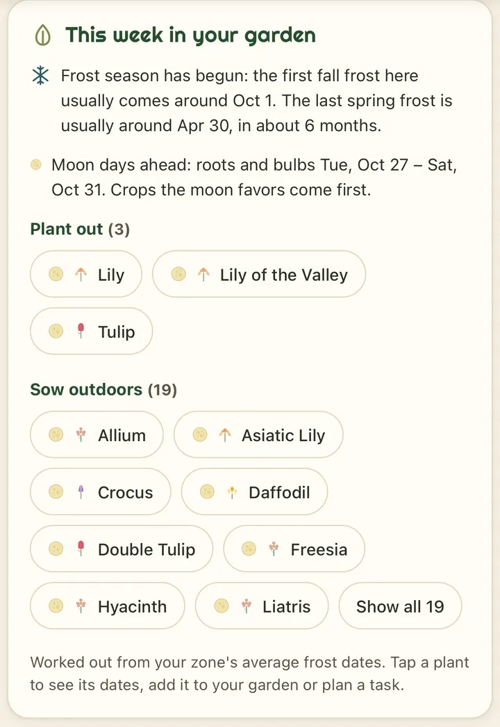 This week in your garden: frost season has begun, with the first fall frost usually around Oct 1 and the last spring frost around Apr 30; moon days ahead, roots and bulbs from Tue, Oct 27 to Sat, Oct 31; lists of Plant out (3) and Sow outdoors (19) with Lily, Tulip, Allium, Crocus, Daffodil and more, and a note that the dates are worked out from your zone's average frost dates