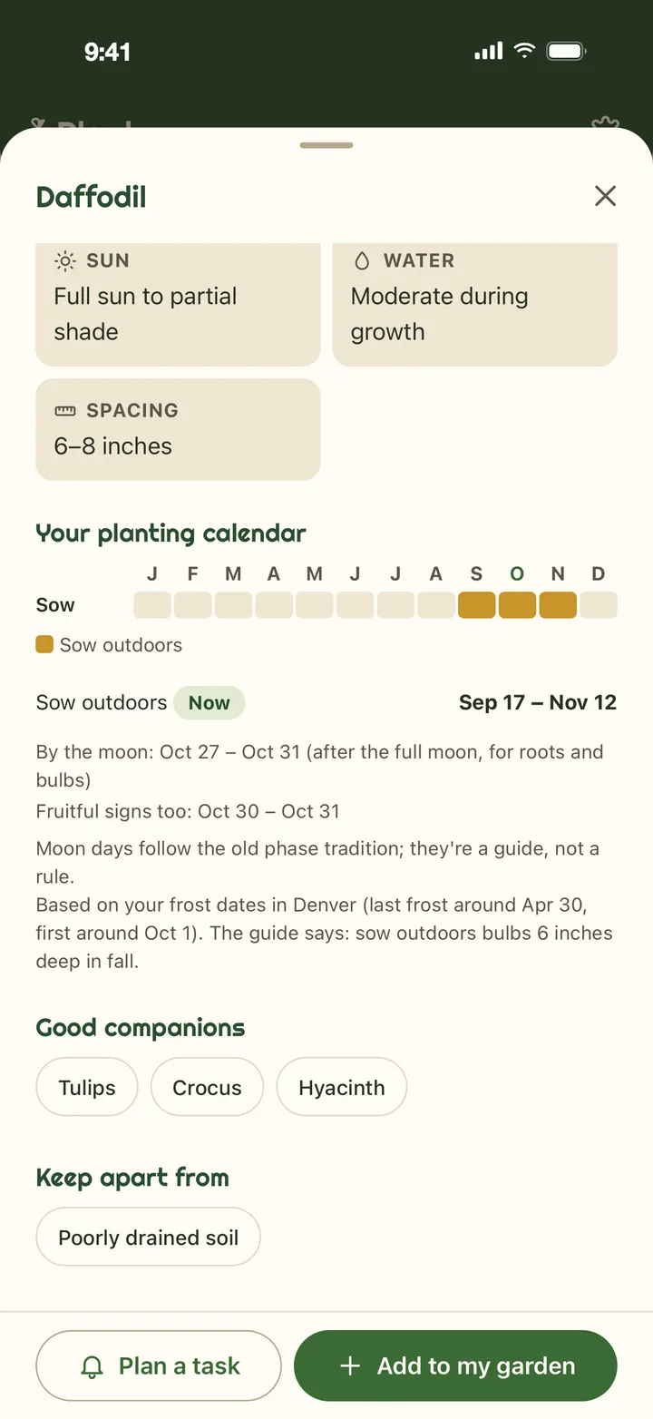 Daffodil in the Plants tab: sun, water and spacing, its planting calendar with the moon's days and the fruitful signs, good companions (tulips, crocus, hyacinth) and plants to keep apart, with Plan a task and Add to my garden buttons